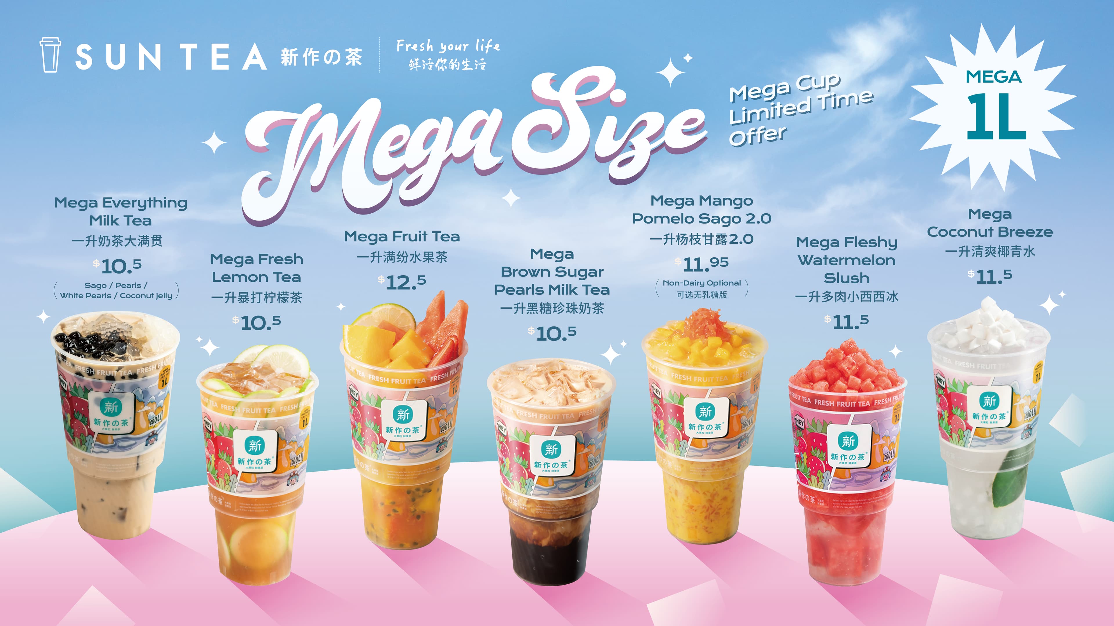 Mega Size — 1L